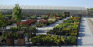 Greenhouse