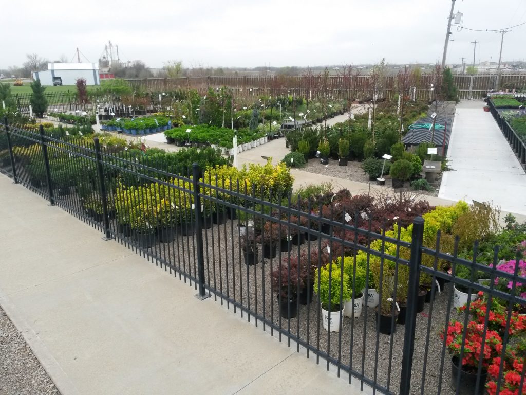 Shrubs & Trees Stoplight Market