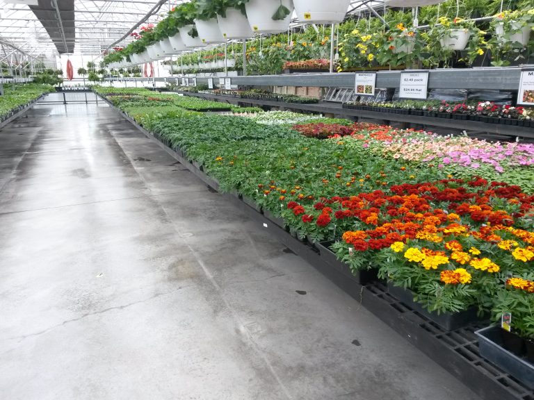 Photo Gallery Stoplight Market