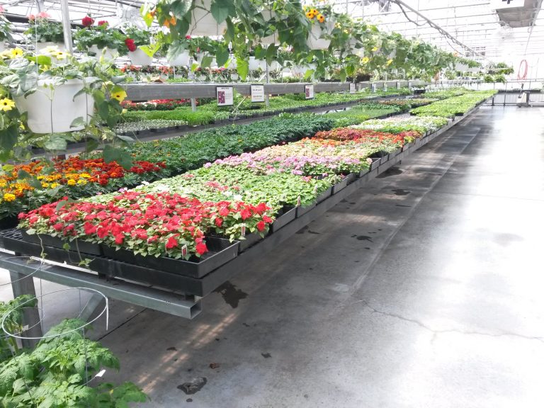 Greenhouse in Butler, MO Stoplight Market