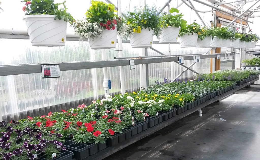 Stoplight Market in Butler MO Quality Flowers, Produce, Spices, Bulk